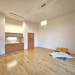 Rent 1 bedroom apartment of 40 m² in Kralupy nad Vltavou