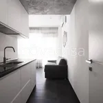 Rent 1 bedroom apartment of 60 m² in Verona