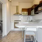 Rent 2 bedroom apartment of 100 m² in Florence