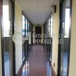 Rent 2 bedroom apartment of 130 m² in Rome