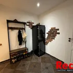 Rent 4 bedroom apartment of 101 m² in Brno