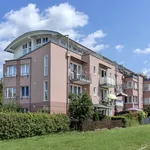 Miete 2 Schlafzimmer wohnung von 62 m² in Bochum