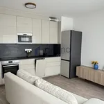 Pronajměte si 2 ložnic/e byt o rozloze 44 m² v Prague