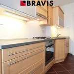 Rent 1 bedroom apartment of 35 m² in Brno