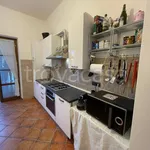 Rent 2 bedroom house of 110 m² in Camaiore