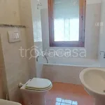 Rent 3 bedroom apartment of 88 m² in Roma