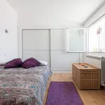 Alquilar 3 dormitorio apartamento en Madrid