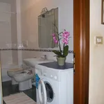 Rent 2 bedroom apartment of 40 m² in Turin