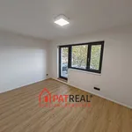 Rent 5 bedroom apartment of 181 m² in Brno