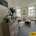 Rent 1 bedroom apartment in Blansko