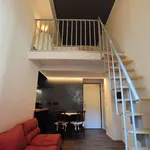 Rent 1 bedroom apartment of 50 m² in Torino