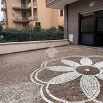 Rent 1 bedroom apartment of 47 m² in Rome