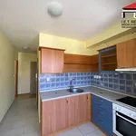 Rent 1 bedroom apartment in Brno