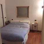 Rent 3 bedroom apartment of 100 m² in Milano