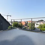 Rent 1 bedroom apartment in Zottegem