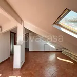 Rent 2 bedroom apartment of 45 m² in Torino