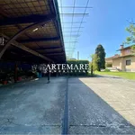 Appartamento in affitto a Pietrasanta via Puglie, arredato, giardino privato, posto auto - TrovaCasa