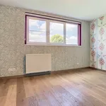 Appartement de 322 m² avec 1 chambre(s) en location à Roeselare