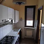 Rent 4 bedroom apartment of 110 m² in Pecetto di Valenza