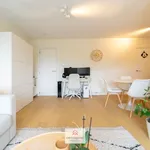 Rent 1 bedroom apartment in Gent