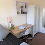 Rent 1 bedroom apartment in Coventry