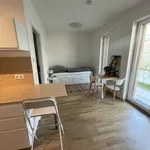 Rent 1 bedroom apartment of 27 m² in Frankfurt