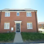 Rent 3 bedroom house in Peterborough