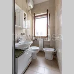 Rent 1 bedroom apartment of 60 m² in Prato