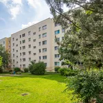 Rent 1 bedroom apartment of 39 m² in Berlin