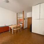 Rent 1 bedroom apartment of 30 m² in Padua