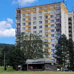 Rent 1 bedroom apartment of 63 m² in Ústí nad Labem