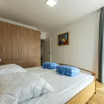 Rent 3 bedroom apartment of 92 m² in Capital City of Prague