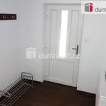 Rent 1 bedroom apartment of 45 m² in Břeclav