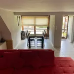 Rent 1 bedroom apartment in Zottegem