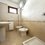 Rent 3 bedroom apartment of 125 m² in catanzaro