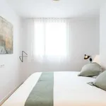 Alquilar 1 dormitorio apartamento en barcelona