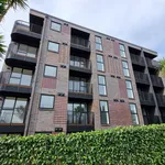 Rent 1 bedroom apartment in Auckland