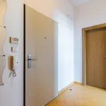 Rent 1 bedroom apartment of 35 m² in Prague