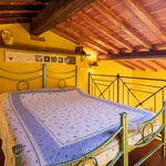 Rent 1 bedroom apartment in Florence