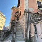 Rent 4 bedroom apartment of 100 m² in Genoa