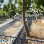 Rent 4 bedroom house of 140 m² in Bari