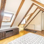 Rent 5 bedroom apartment of 221 m² in Prague