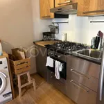 Rent 1 bedroom apartment of 30 m² in Milano