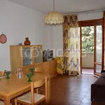 Rent 3 bedroom apartment of 60 m² in Rosignano Marittimo