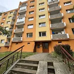 Rent 1 bedroom apartment in Chomutov