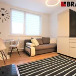 Rent 2 bedroom apartment of 35 m² in Brno