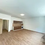 Rent 1 bedroom apartment of 36 m² in Praha