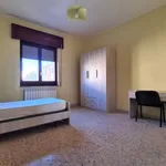 Rent 3 bedroom apartment of 80 m² in catanzaro