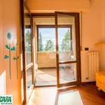 Rent 4 bedroom apartment of 110 m² in Casalecchio di Reno