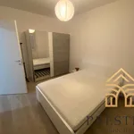 Rent 2 bedroom apartment of 50 m² in Oradea